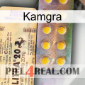 Kamgra new06
